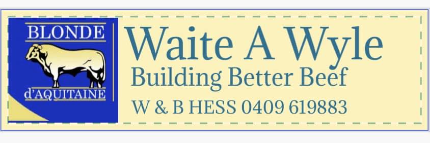 481314906 621135387334704 1030939836816445293 n