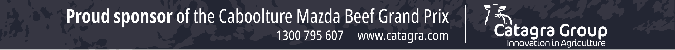 catagra website banner v2 02