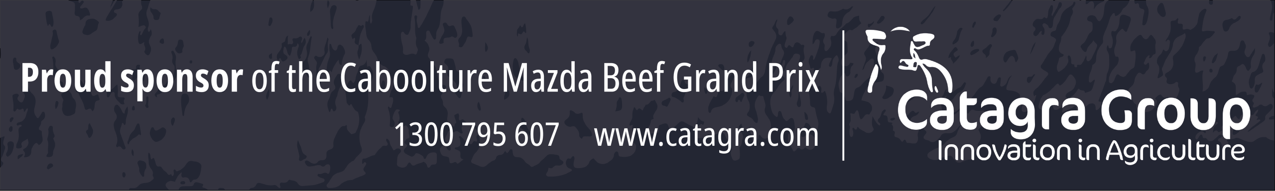 catagra website banner v3 03 03