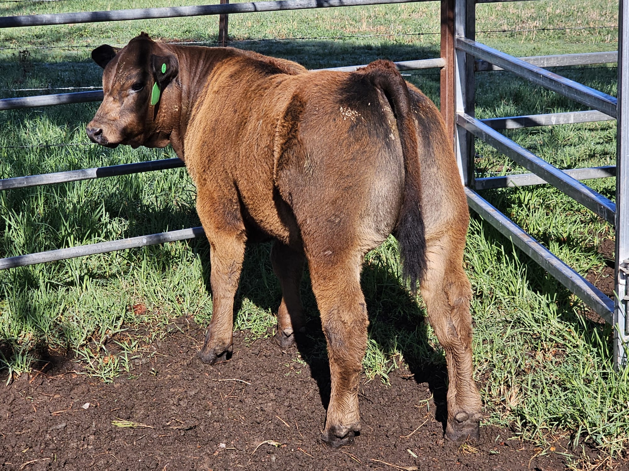 photo 2026 01 08 13 58 23