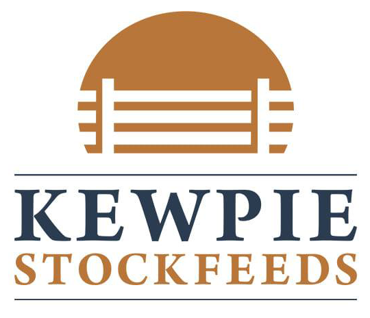 331062683 2425054314337135 3284760005446368339 n cropped