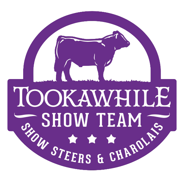 tookawhile logo page 0001