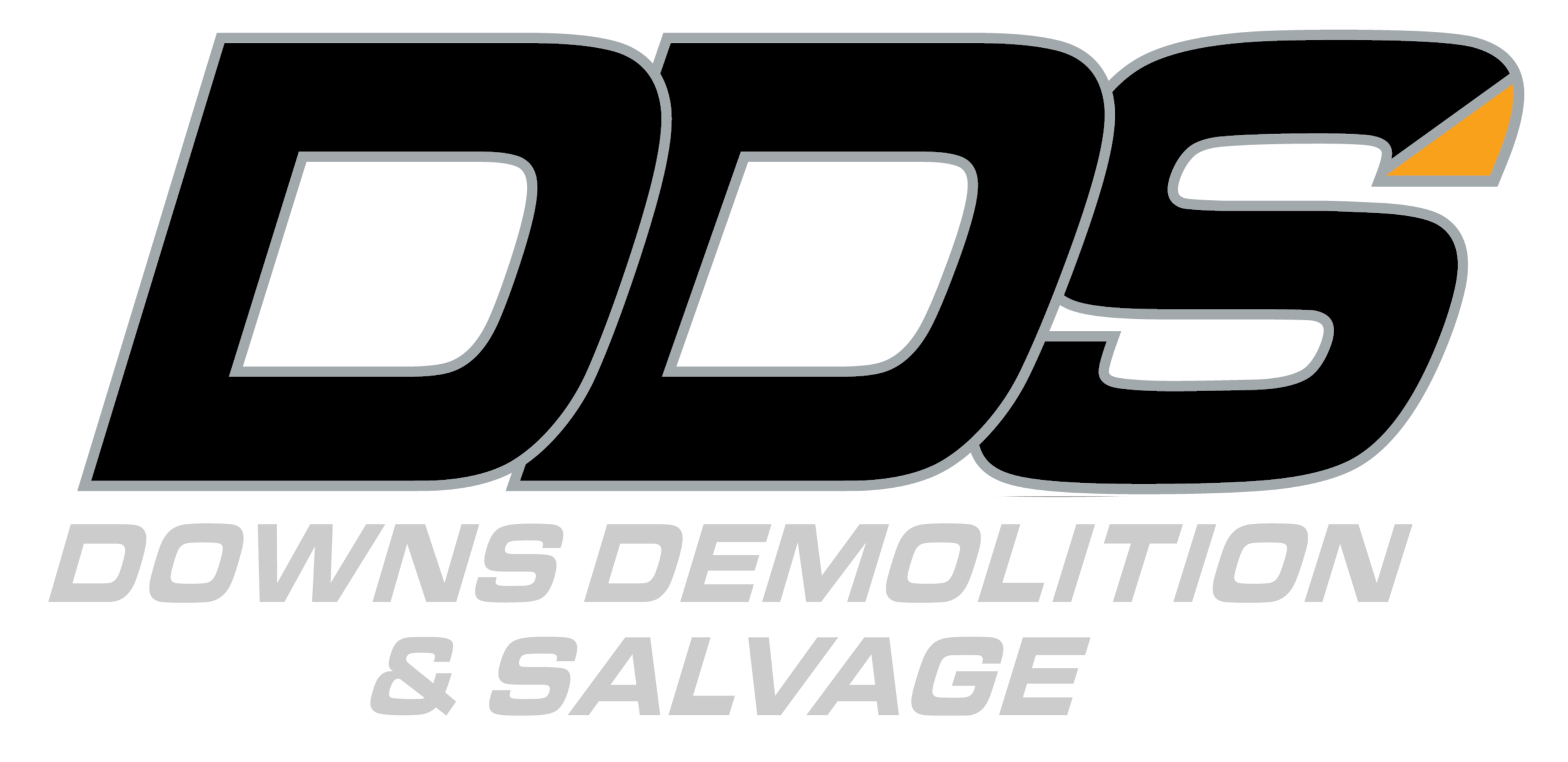 dds logo (1) white bg