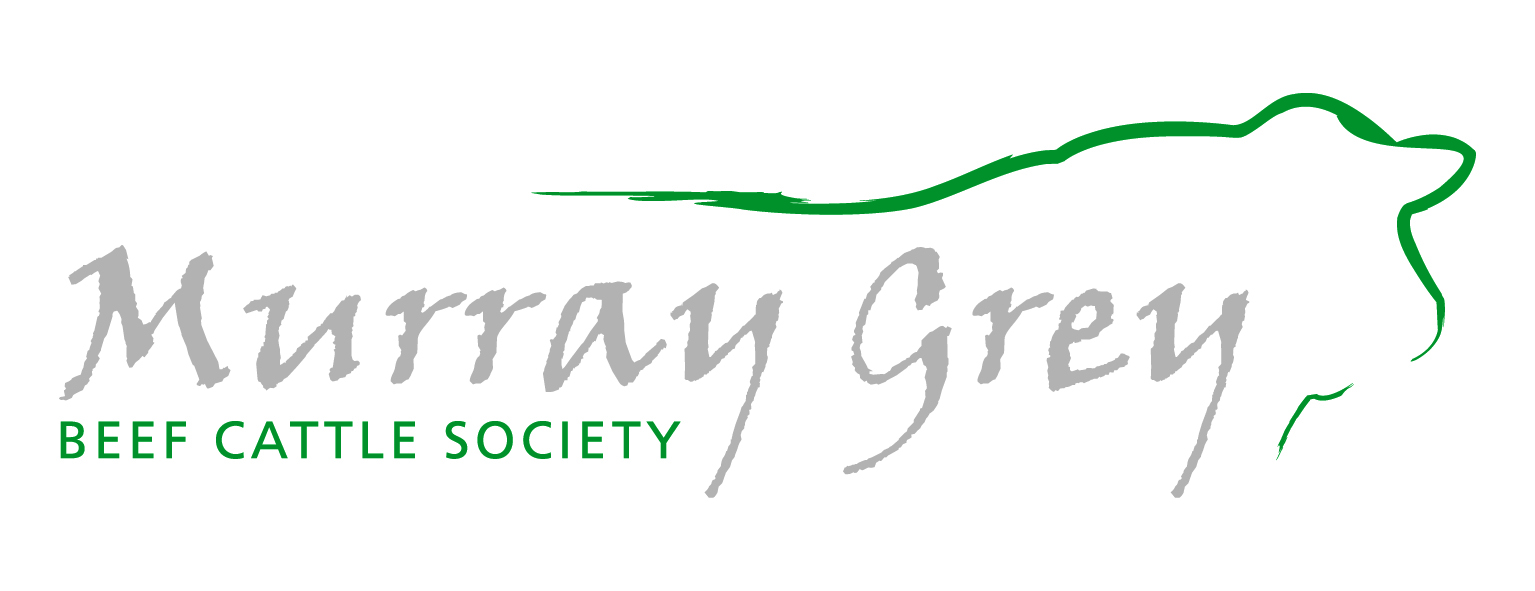 mgbcs logo colour (1)