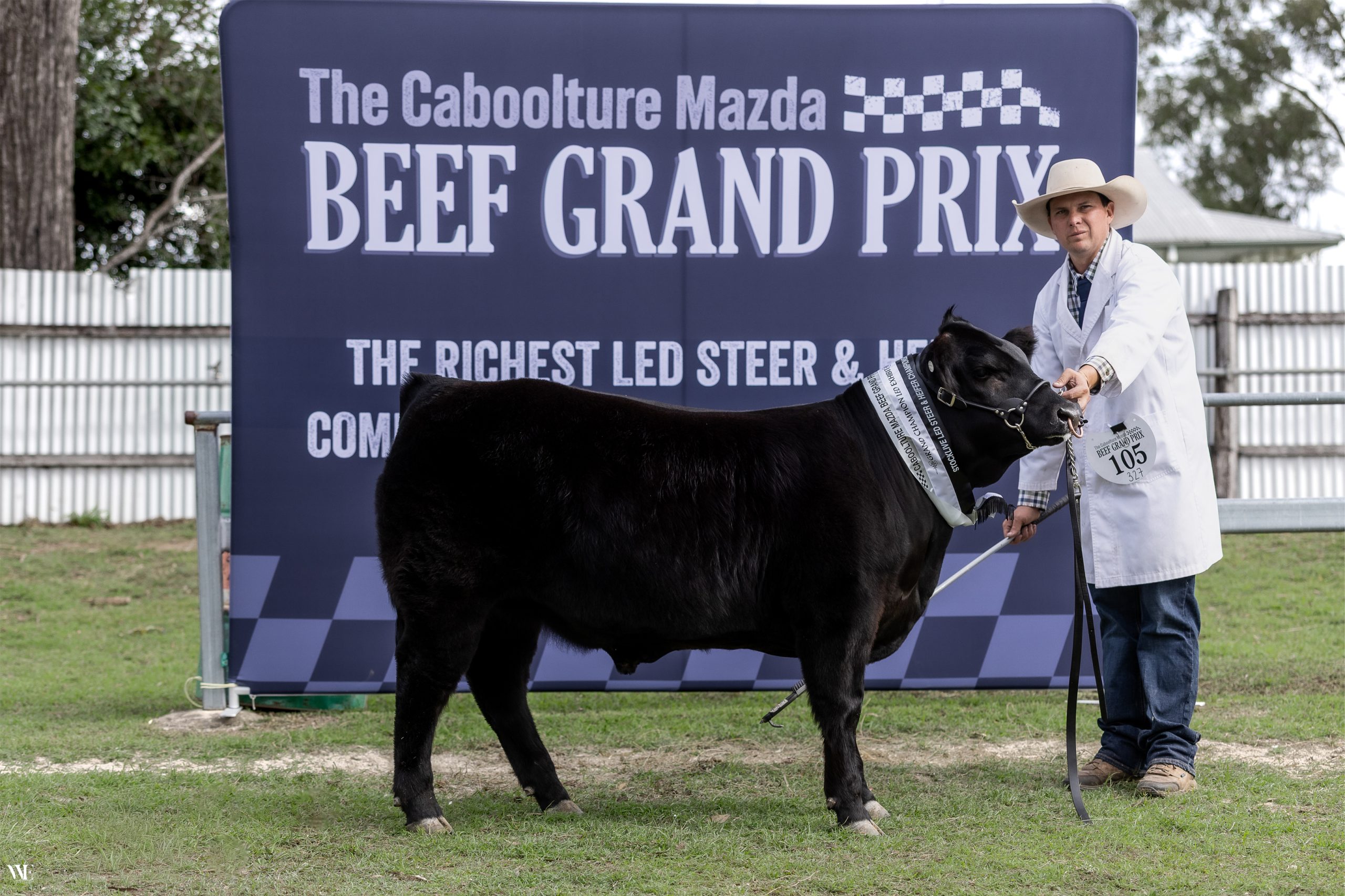 grand champ cc resized