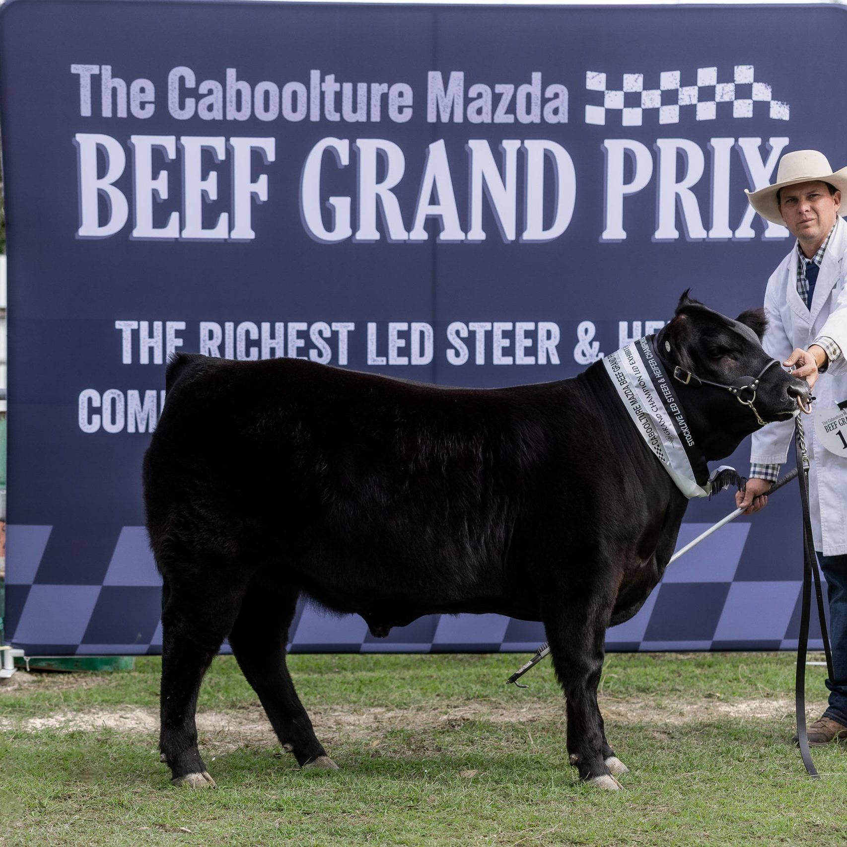 grand champ cc resized