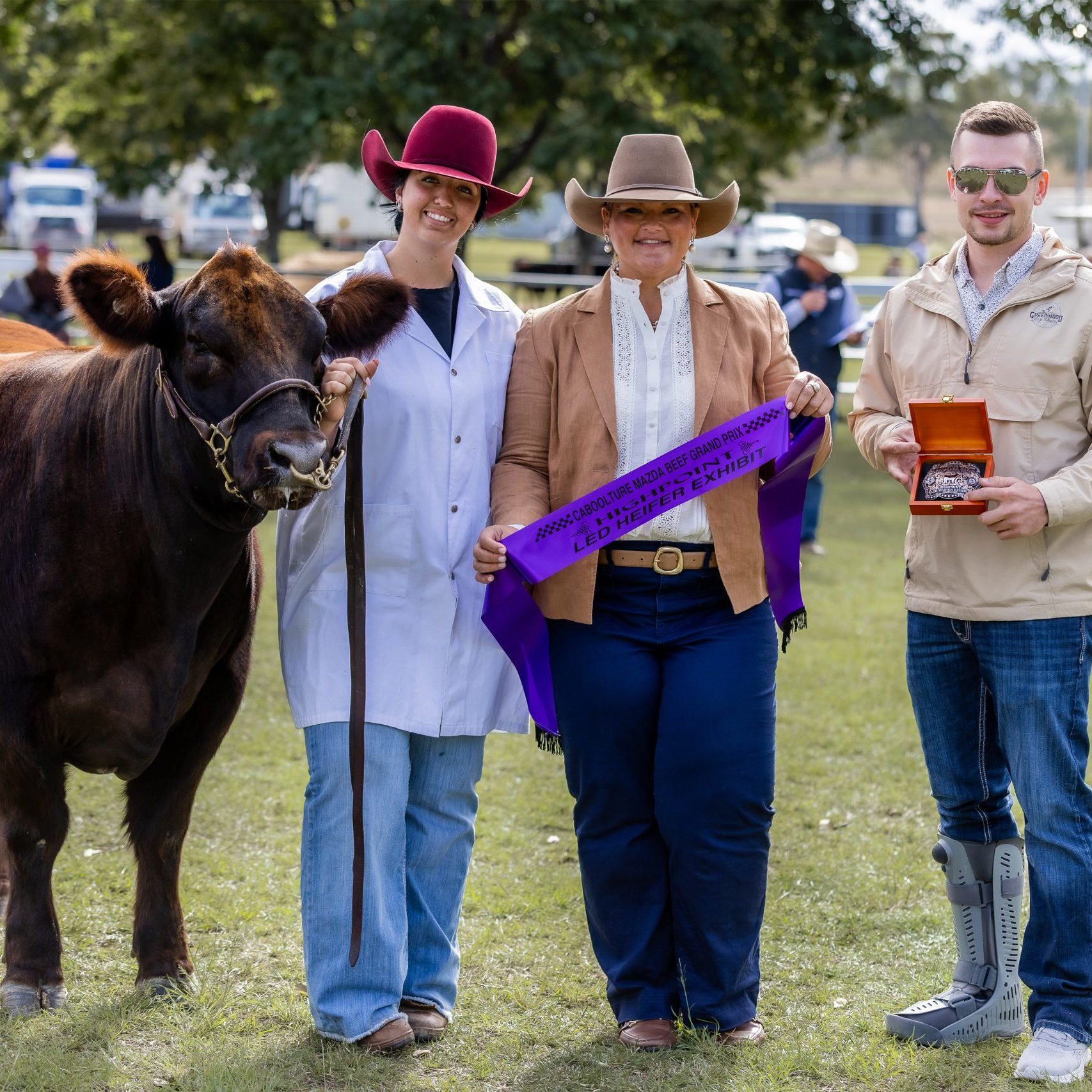 highpoint heifer award resized