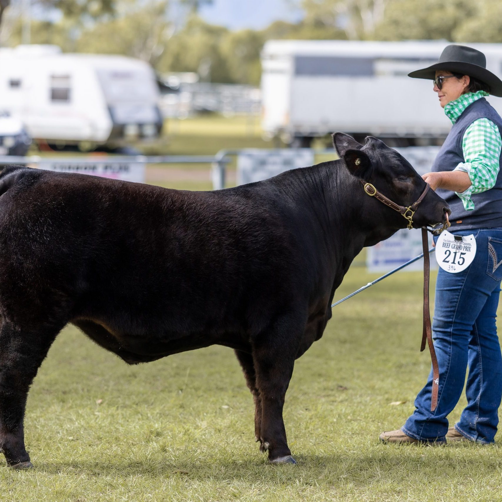 res champ middleweight resized
